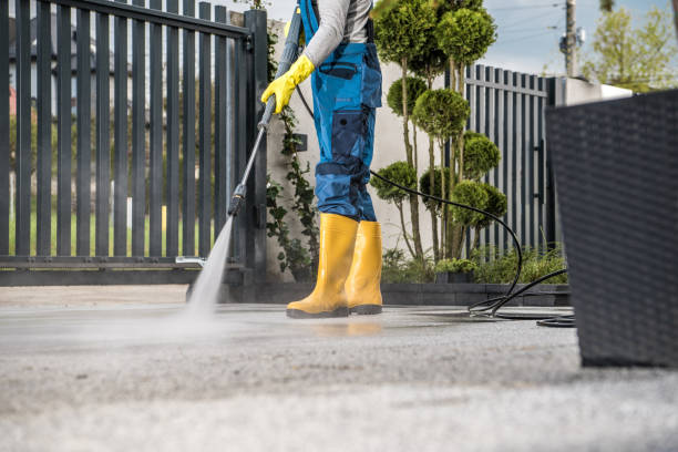 Best Soft Washing  in San Elizario, TX
